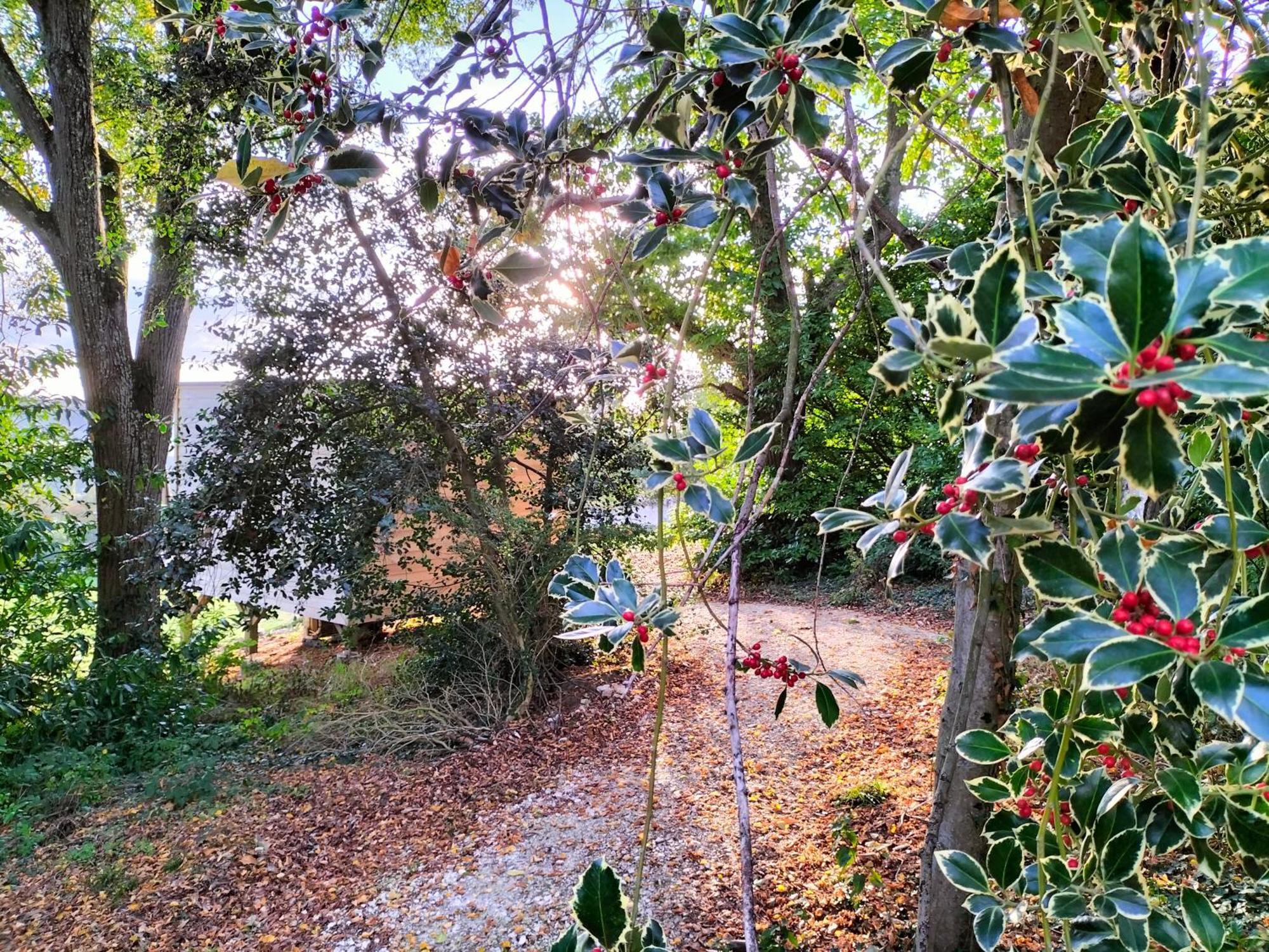 Demeure De La Garenne Bed & Breakfast Montmirail  ภายนอก รูปภาพ