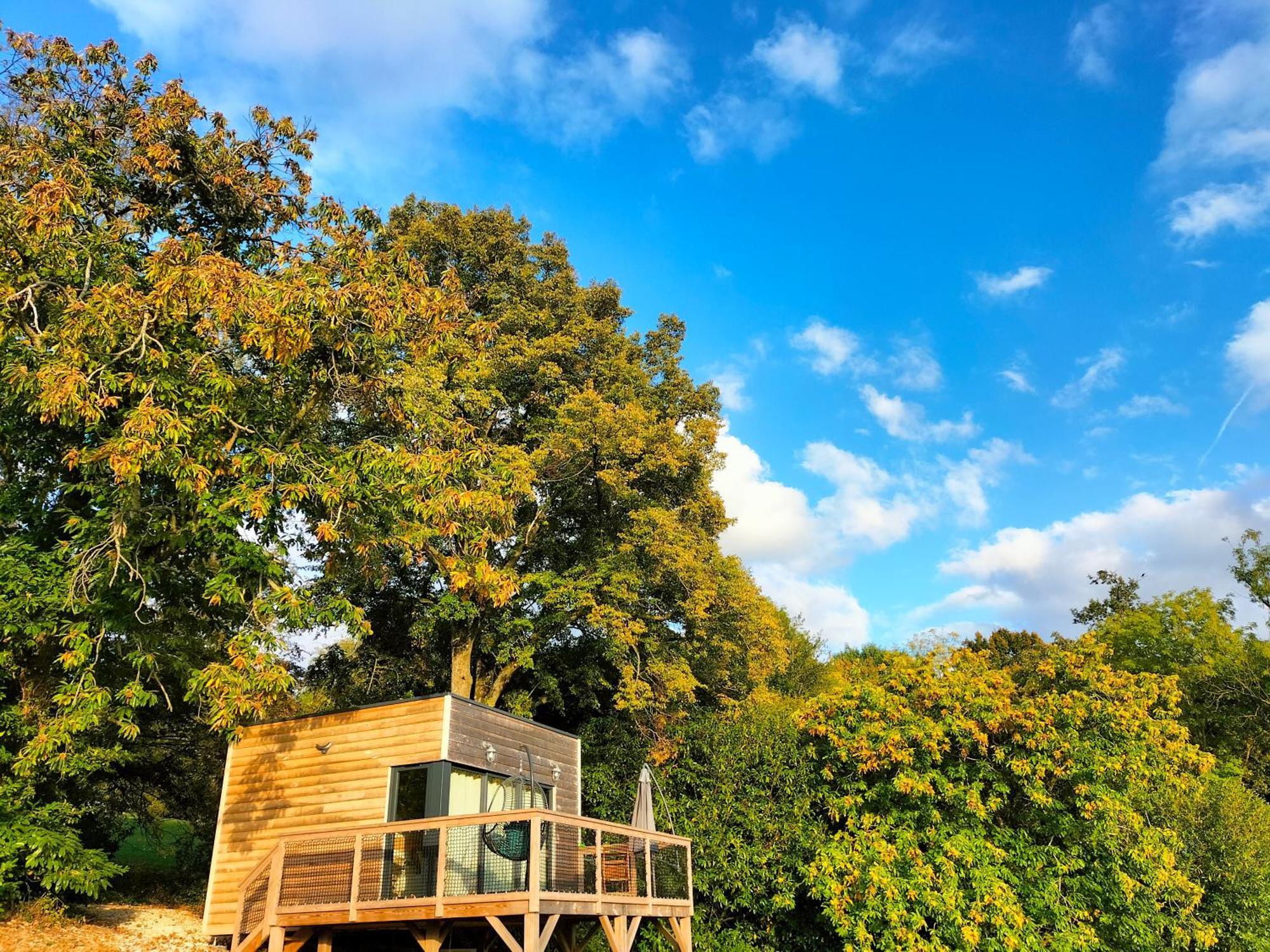 Demeure De La Garenne Bed & Breakfast Montmirail  ภายนอก รูปภาพ