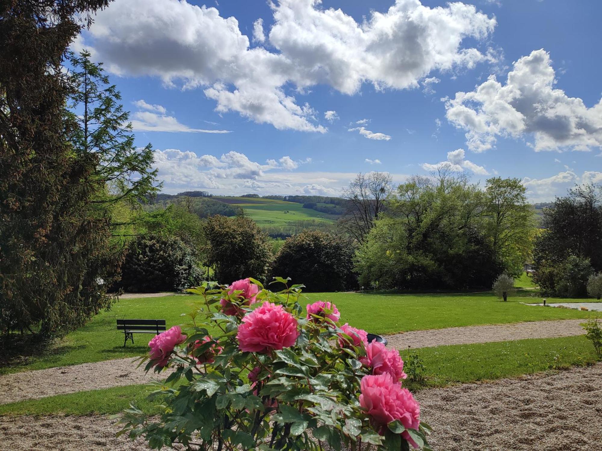 Demeure De La Garenne Bed & Breakfast Montmirail  ภายนอก รูปภาพ